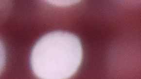 Julián Álvarez celebrando su gol.