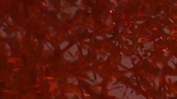 El condado de Los Ángeles permanecerá en alerta máxima.