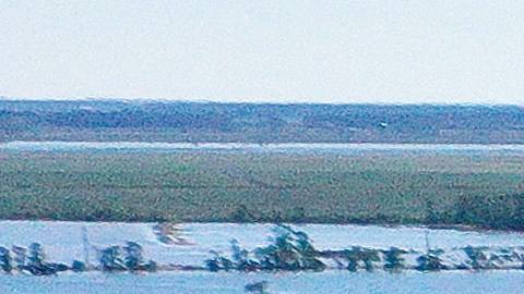 Louisiana