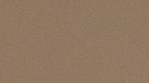 Expertos piden vacunarse contra la gripe para evitar una pandemia doble.