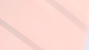 Una Marcha de Mujeres en defensa de sus derechos, el 17 de octubre de 2020 en Los Ángeles, California.