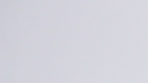 Lewis Hamilton con el trofeo del GP de Portugal.