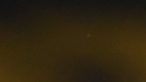 Raúl Jiménez festejando su nueva anotación con Wolverhampton.