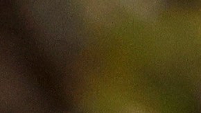 Residentes de Maryland esperan en la fila para votar.