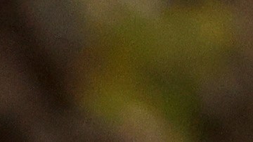 Residentes de Maryland esperan en la fila para votar.