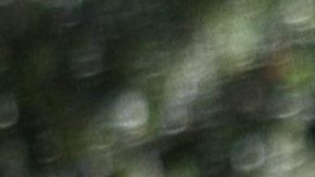 Reese Witherspoon en "Legalmente Rubia".