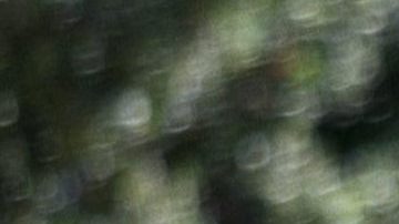 Reese Witherspoon en "Legalmente Rubia".