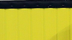 Daiya Seto, estrella japonesa de la natación.