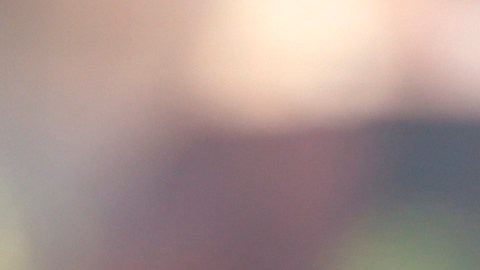 El general Salvador Cienfuegos será trasladado a Nueva York.