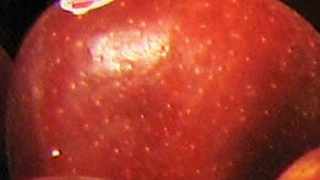 Frutas de Walmart retiradas por riesgo de brote de listerosis