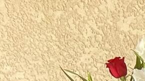 Este Acción de Gracias, los hijos de Brenda López echaran muchos e menos su partida a causa de COVID-19. (Cortesía Juan José Martínez)