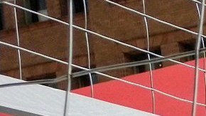 Niños voluntarios permanecieron un momento dentro de una jaula. (Suministrada)