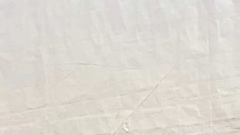 Eric Briceno falleció el 16 de marzo a manos de los alguaciles de Los Ángeles. (Suminsitrada)