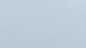 Trabajadores de limpieza de Kaiser Permanente protestaron contra el uso de robots. (Suministrada)