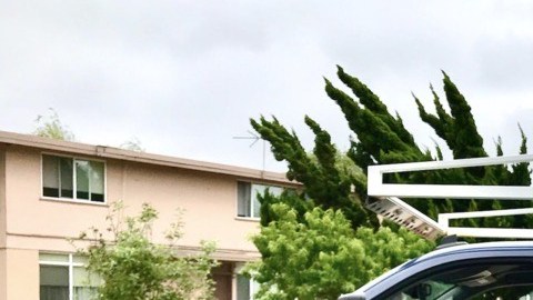 El astronauta Starry llegó al complejo habitacional Mar Vista Gardens para promover el servicio de Internet. (Starry Internet)