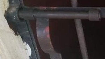 Insólito, encarcelan a perro por escaparse de su casa, lo mantuvieron sin agua y comida