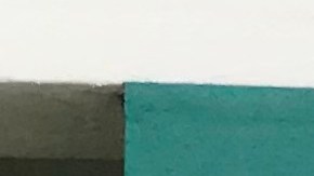 Jazmin García protesta frente a la preparatoria Dorsey. (Suministrada)