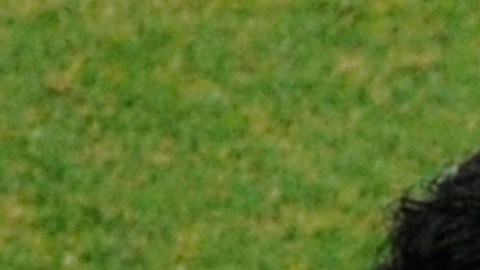 Maradona Messi