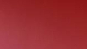 Marcelo Flores Arsenal