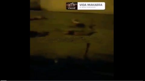 VIDEO: Grupo Élite del CJNG se graba dejando cuerpos de descuartizados