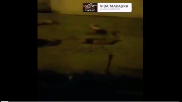 VIDEO: Grupo Élite del CJNG se graba dejando cuerpos de descuartizados