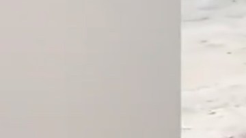 VIDEO: Madre graba a su hijo lanzar por barranco a perrita; ¡Presume que lo ha hecho 3 veces!