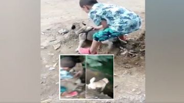VIDEO: Madre graba a su hijo lanzar por barranco a perrita; ¡Presume que lo ha hecho 3 veces!