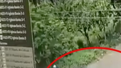 VIDEO: Sicarios del Cártel de Sinaloa así secuestraron a mando de Guardia Nacional
