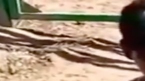 VIDEO: Sicarios ejecutan con tiros en la cabeza a supuestos operadores de Caro Quintero