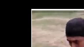 VIDEO: Sujeto mata a perrito a machetazos porque le ladró; caso indigna por la brutalidad