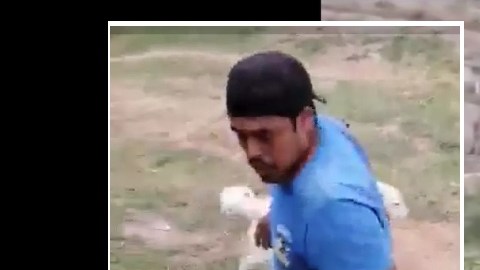 VIDEO: Sujeto mata a perrito a machetazos porque le ladró; caso indigna por la brutalidad