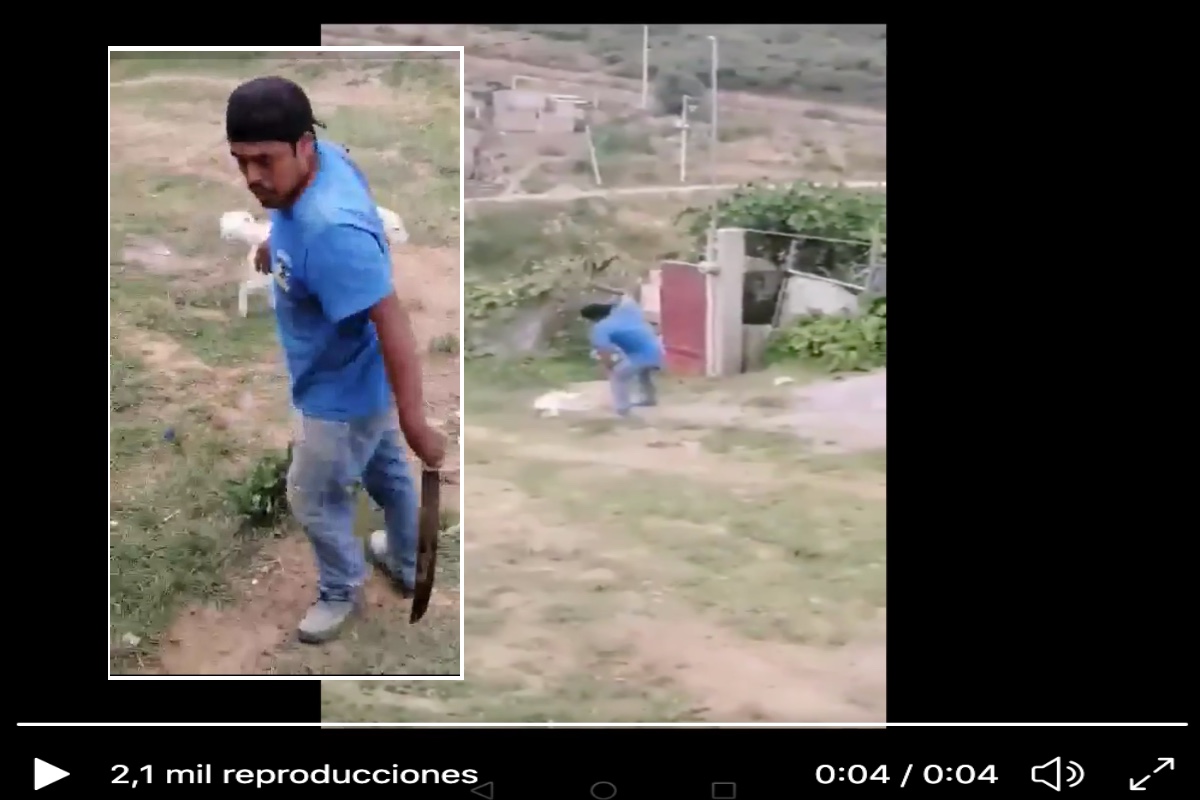 VIDEO: Sujeto mata a perrito a machetazos porque le ladró; caso indigna por la brutalidad