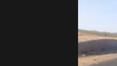 VIDEO: Trailero denuncia cómo sicarios de Caro Quintero lo atacaron