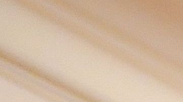 Invitan a participar en las elecciones, tanto federales como locales, en San Francisco el 3 de noviembre.