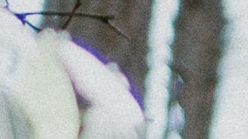 Hay signos que van despacio en el amor.