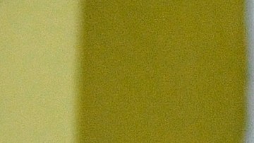 pollo briseño covid 19