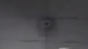 En las imágenes se puede observar al ladrón romper la puerta de entrada.