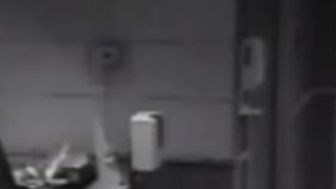 En las imágenes se puede observar al ladrón romper la puerta de entrada.
