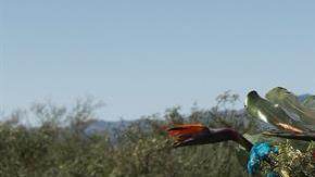 Recuerdan a las víctimas de la masacre.