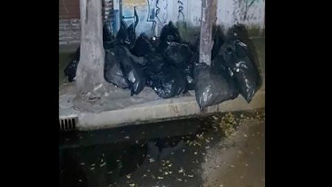 Los fármacos fueron abandonados en bolsas negras de plástico.