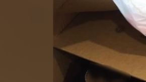 Los indocumentados fueron descubiertos en cajas.