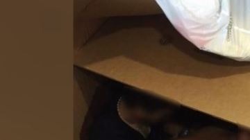 Los indocumentados fueron descubiertos en cajas.