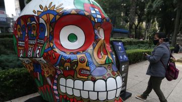 Cráneos gigantes son exhibidos al aire libre.