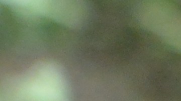 Demet Özdemir y Can Yaman protagonizan 'Pájaro Soñador'.