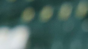 carlos gonzález, pumas, coronavirus