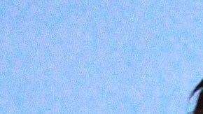 Daniel Bisogno y Chiquis Rivera.