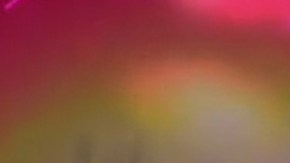 Daniel Bisogno en "Ventaneando".