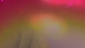 Daniel Bisogno en "Ventaneando".