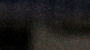 Los Dodgers estarán en la Serie Mundial.