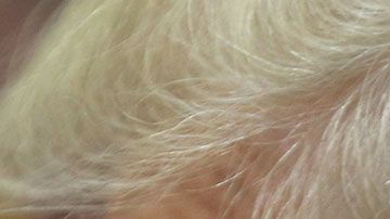 Trump es conocido por su gran afición a la comida de McDonald's.